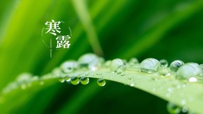 寒露——秋意渐浓