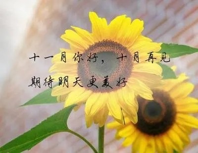 十月再见，十一月你好！