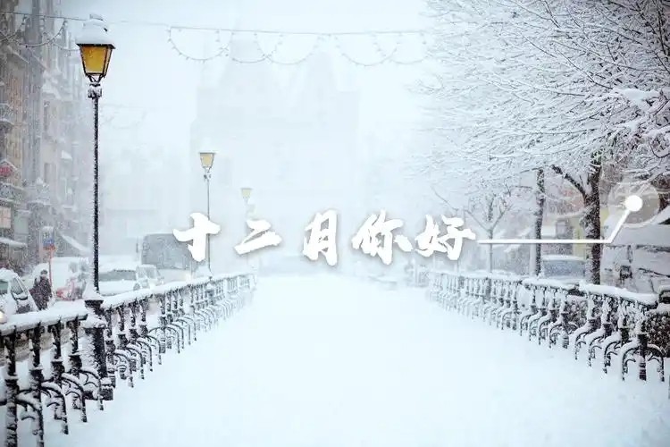2024年最后一月，加油！