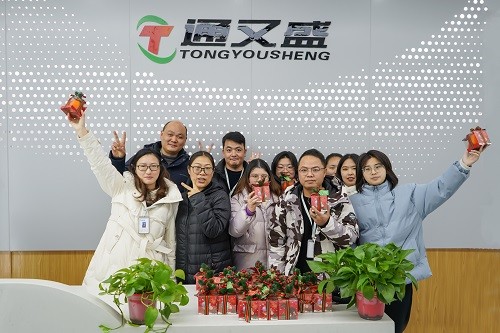 通又盛的圣诞奇迹：温暖与美好在此相遇